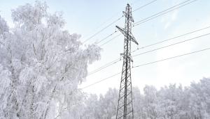 Petroleum Electricity Generation