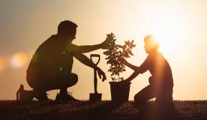 NEFI's Growth