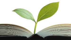 Next Chapter Biofuels