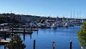 Souther New England Energy Conference