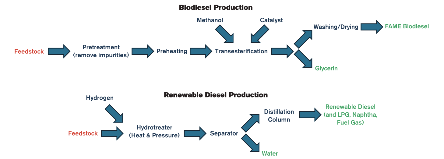 biodiesel production.png